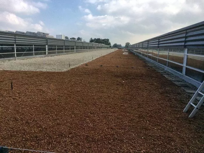 Verwendung Dachsubstrat NovoGreen Paketpost Frauenfeld